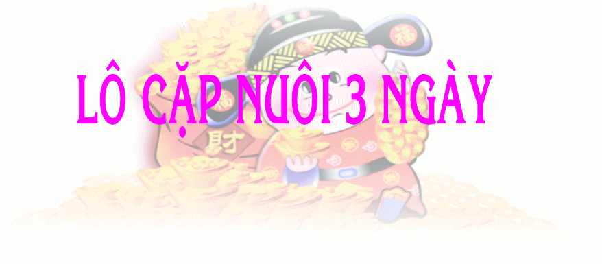 lo-cap-nuoi-3-ngay lô cặp nuôi 3 ngày