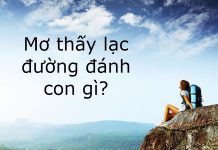 mơ thấy lạc đường